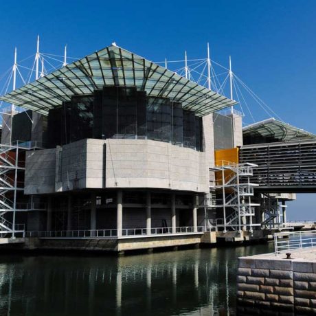 Lisbon Oceanarium